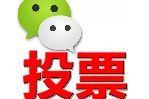 辽阳市微信投票功能开发 上传图片投票